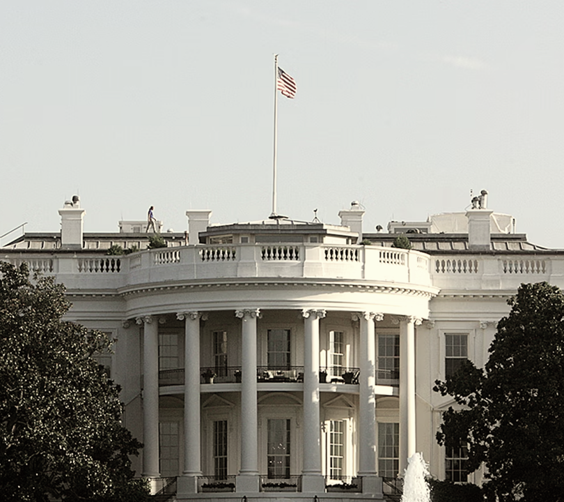 Why Startups in the US Should Work With Tequity